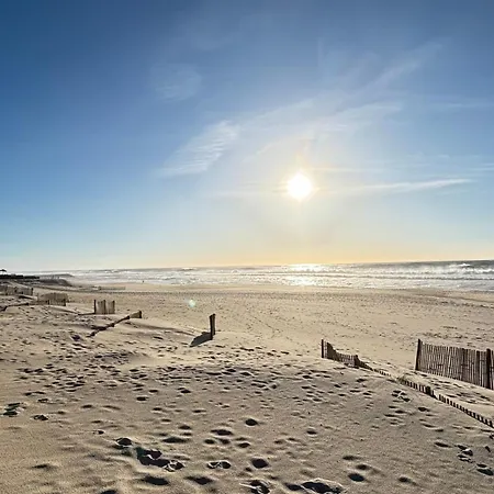 Apartman At The Aveiro